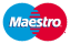 Maestro Icon